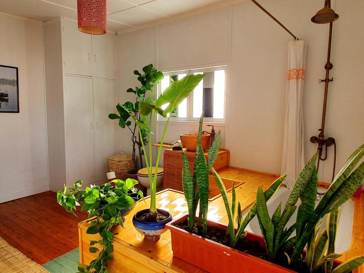 Houseboat65 - Historic Home On The Nile - Central القاهرة المظهر الخارجي الصورة