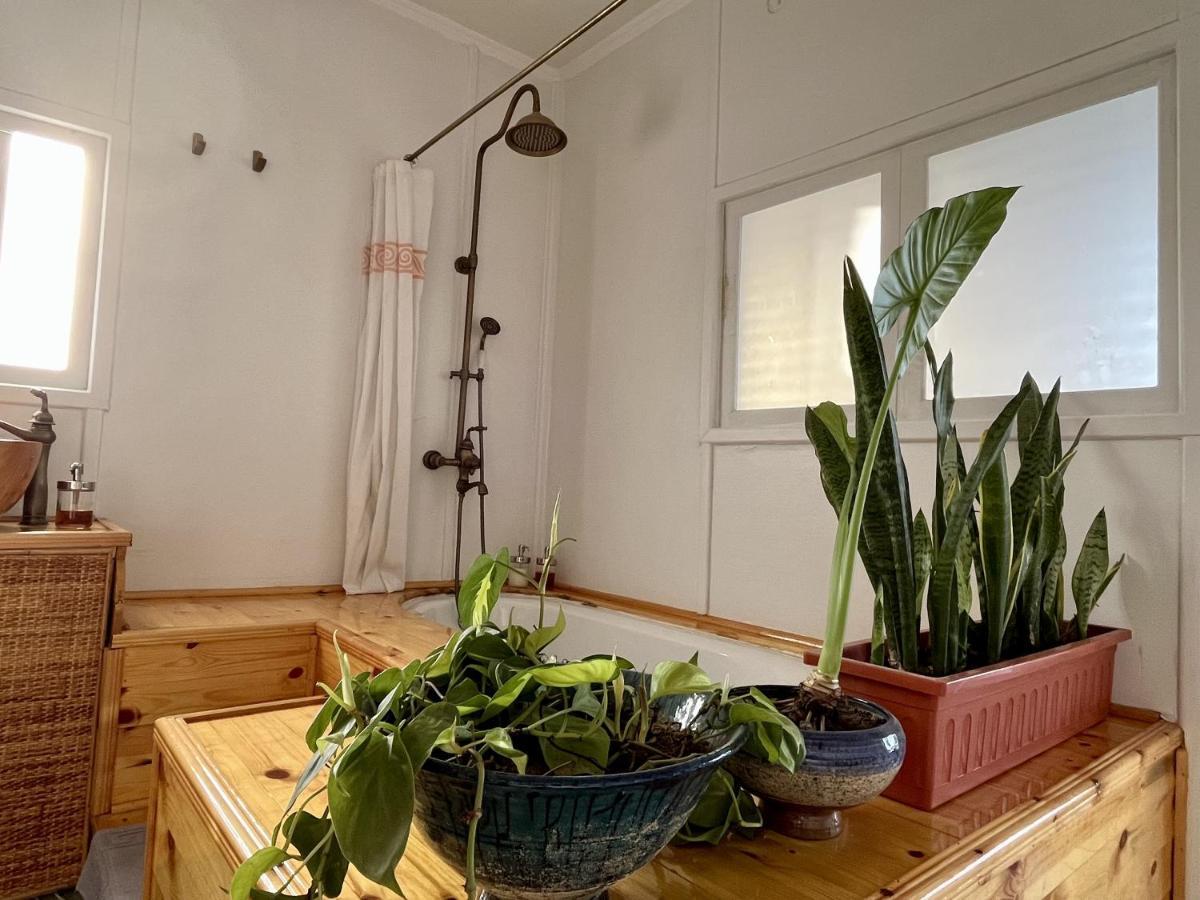 Houseboat65 - Historic Home On The Nile - Central القاهرة المظهر الخارجي الصورة